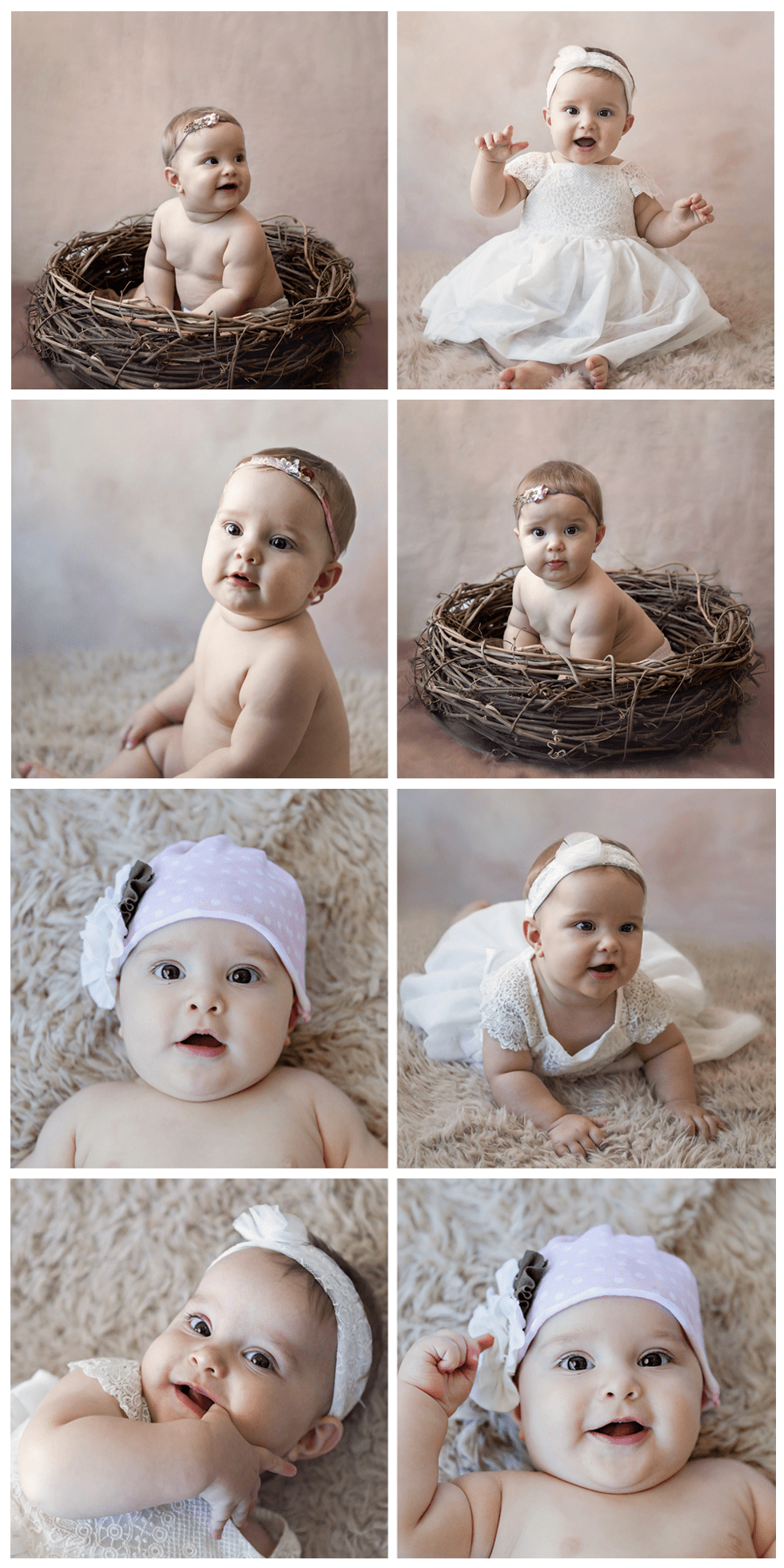 Elsie ~ 6 Months Session ~ Michele Bird Photography